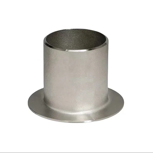 Stainless Steel 304L Stub End
